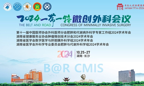 2024 Belt and Road International conference on chirurgia mininvasiva è stata tenuta grandly a Changsha